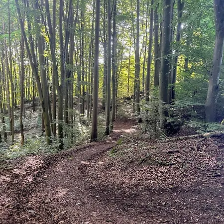 Hoegenbachtal * Pommelsbrunn