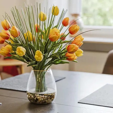 Apartment Hoegenbachtal *