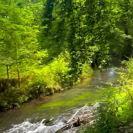 Hoegenbachtal Lägenhet
